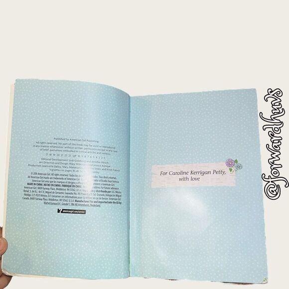 Bundle Sale 3 for $15 | WellieWishers | Ashlyn’s UnSurprise Party #2 - Picture 7 of 10